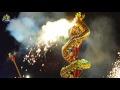 Chinese New Year Dragon Show || Chinese Traditional New Year || Dragon Dance
