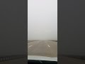 Туман на трассе Астана-Боровое