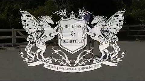 SUMMERWOOD SERIES - TACK ON TRIAL - TRANSCEND