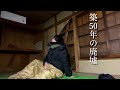 廃墟で一泊したら気付いてしまった…