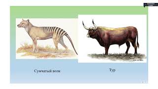 География - 6 класс - Биосфера