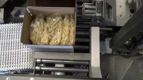 52651 BluePrint Automation (BPA) Cubemaster 300 Case Packer