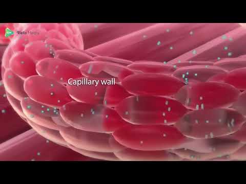 Rielis Media 3D Medical