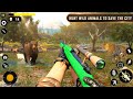 Wild Animal Sniper Hunting - Animal Shooting Game - Android Gameplay