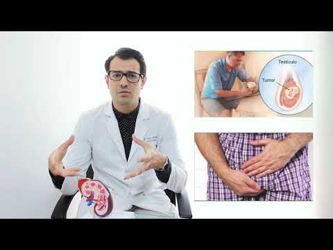 Video: Cómo Aprender A Ser Urólogo