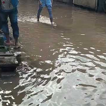 Bin barish k gater full.koi to hamari taklif dekhne wala. ye ghas bazar bandra east market.