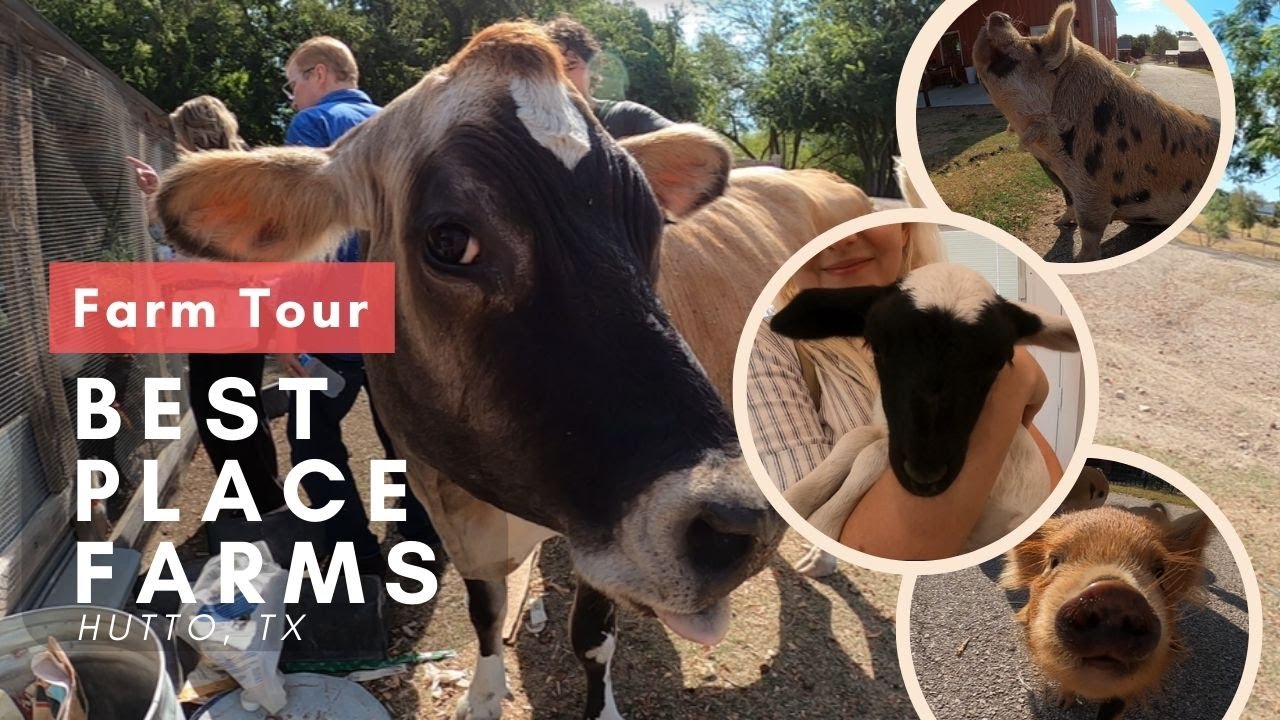 Farm Adventure in Hutto, TX 🐓🚜 | Best Place Farms Tour