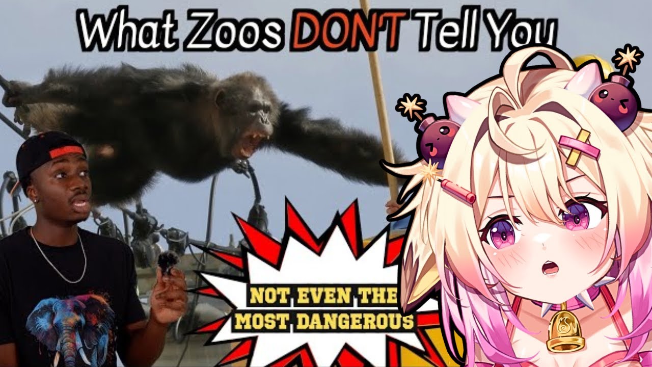 Почему это, возможно, самая неуважаемая работа на Земле | rosiebellmoo реагирует на Casual Geogra...