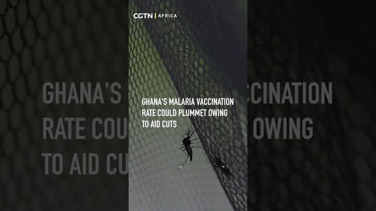 Aid cuts jeopardize Ghana’s malaria vaccination campaign