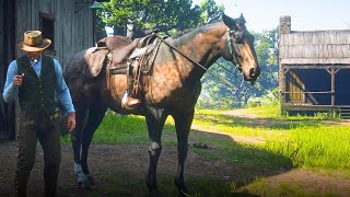 This Glitch Let's You Get ANY Horse For FREE | RDR2