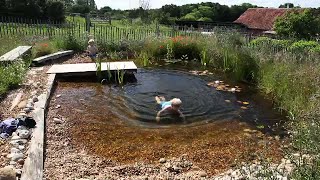 How to build an organic pool (natural pool) in 3 minutes. uses plants
and animals keep the water clean healthy without use of adde...