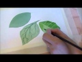 Three Techniques for Painting Leaves in Watercolor