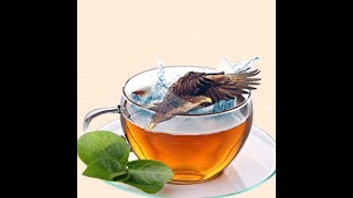 The bird in cup | pisart editor screenshot 5