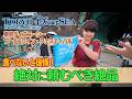 東京ディズニーシー 2026.5.8の様子 Vol.3 | Today’s Tokyo DisneySea on May 8, 2026 : Part 3