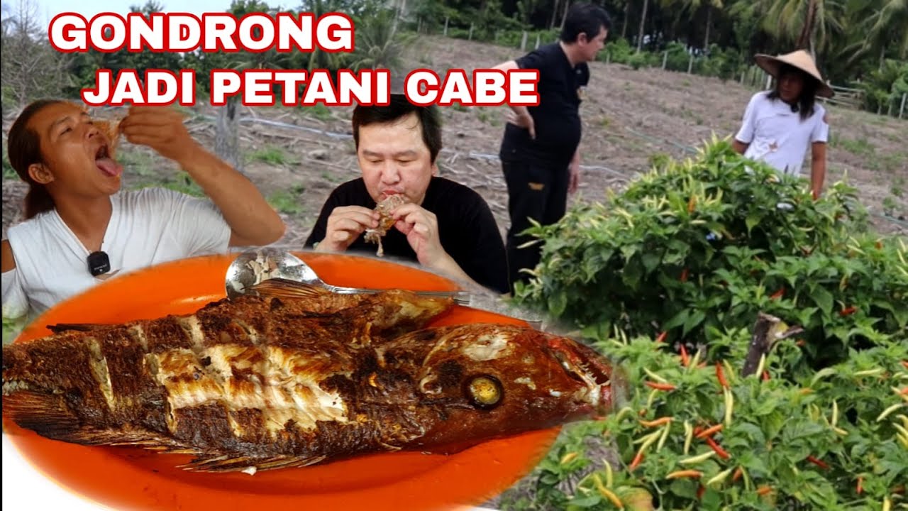 MUKBANG IKAN BAKAR BARENG DI OTI !!