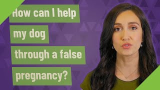 How can I help my dog through a false pregnancy?