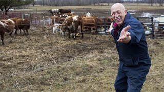 The incredible Dr. Pol Cancelled After 13 Years - What’s Future Planes for the Team? Wealth
