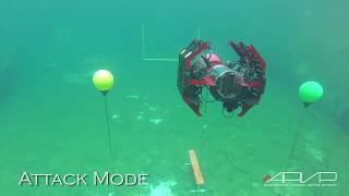 Semi Final Run at RoboSub 2017