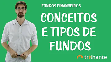 O que é um fundo público?
