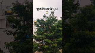 एक बात तो समझ आ गई #rekhakirasoi #shorts #motivation #naturelovers #nature #beautiful #views #viral