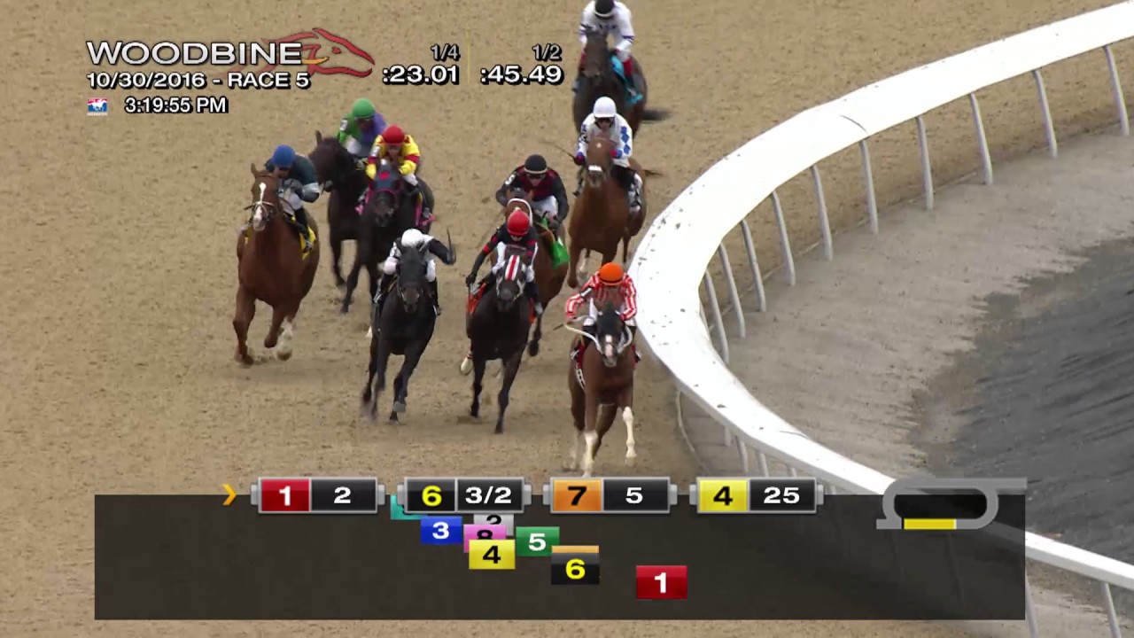 Woodbine, Tbred, Oct. 30, 2016 Race 5 YouTube