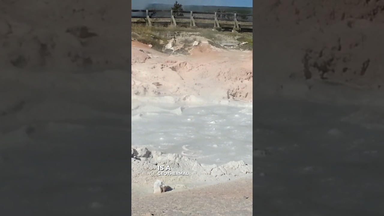 5 FACTS ABOUT THE FOUNTAIN PAINT POT. SEE DESCRIPTION. 