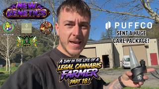 A day in the life of a Legal Cannabis Farmer, Part 18!