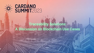 Traceability Solutions: A Discussion on Blockchain Use Cases