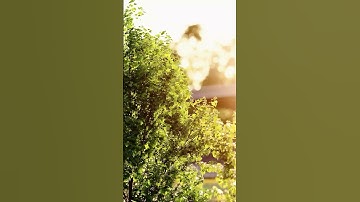 Lumion enviroment render video animation