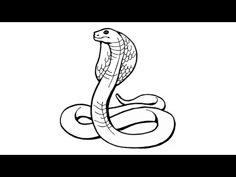 فيديو: كيفية رسم ثعبان