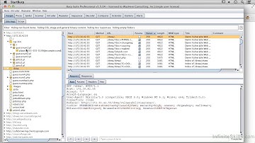 Cross Site Scripting With Burp Suite