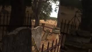 An almost 200 year old abandoned cemetery in central California