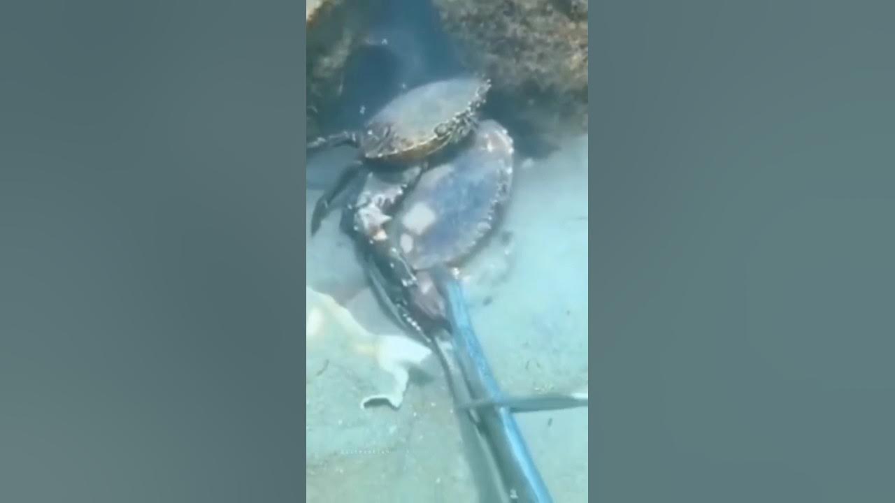 Nahh I Am Not Leaving You YouTube nahh-i-am-not-leaving-you-youtube