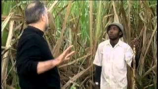 The Price of Sugar Movie Trailer HQ