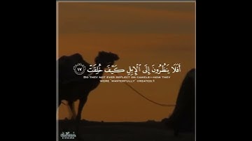 ما تيسر من سورة الغاشية بصوت الشيخ ناصر القطامي 🤍