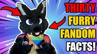 30 Fun Furry Fandom Facts You Might Not Know