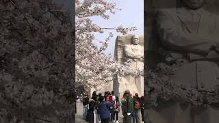 In Pictures National Mall Washington, DC|#Shorts