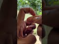 ഈ ഒറ്റ Correction മതി, Violin Vibratoയും വായനയും Better ആകും 100% #shorts #youtubeshorts V4 Violin