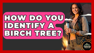 How Do You Identify A Birch Tree? - Exploring Campgrounds