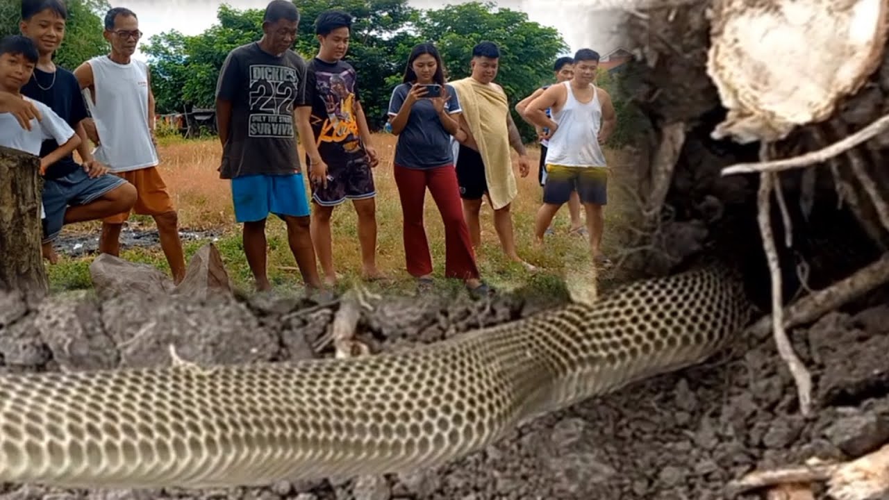COBRA SA CANDABA, PAMPANGA | JTG Kamandag