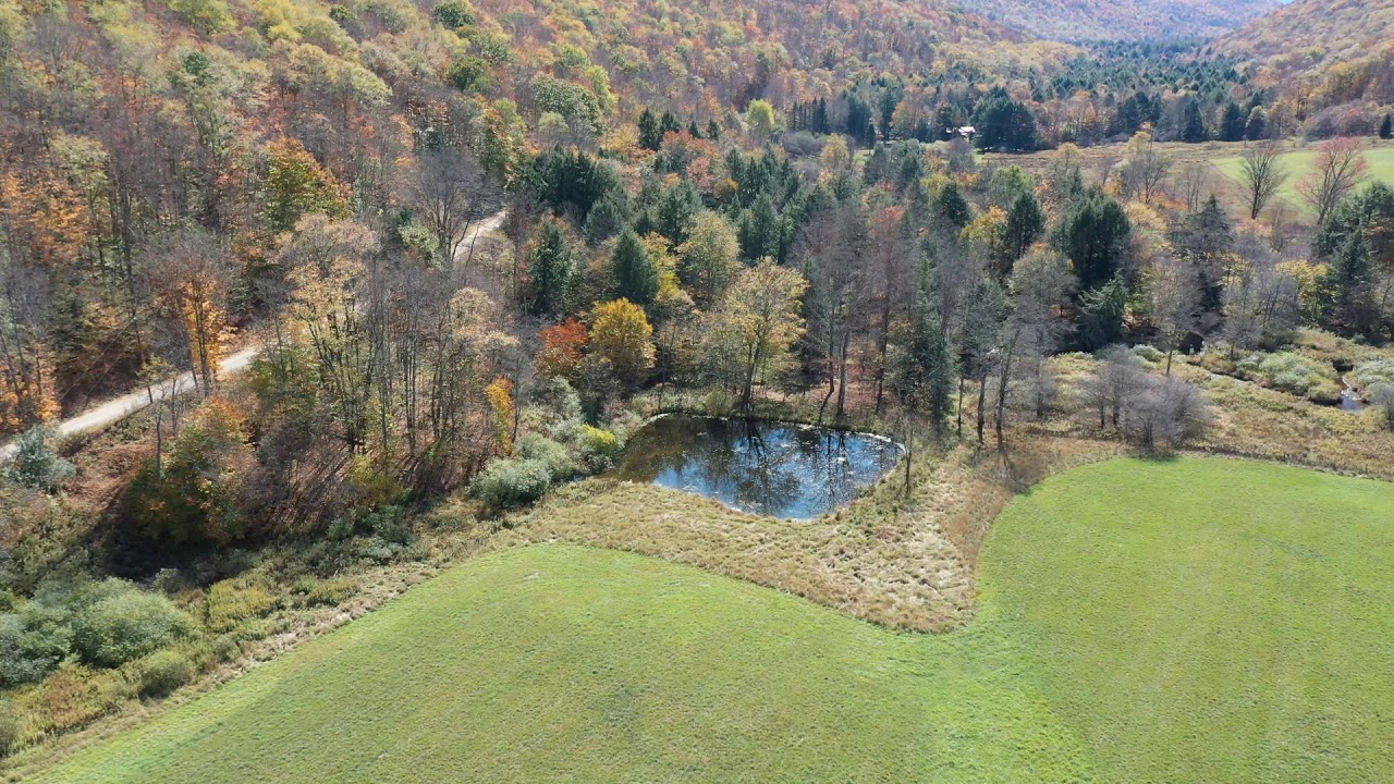 Land For Sale In Potter County, Pennsylvania YouTube