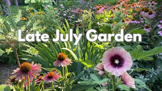 Deer-Resistant Plants & Clearance Finds | Late July Garden Walk with Surprises