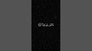 يا ليتها كانت القاضية ما أغنى عني مالية هلك عني سلطانية/من سورة الحاقة /بصوت الشيخ ياسر الدوسري