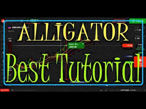 How to use alligator indicator