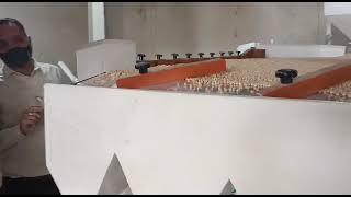 Dollar Chana (नवीन तकनीक द्वारा निर्मित स्पेशल डालर चना / मटर  गेविटी सेपरेटर) Gravity separator