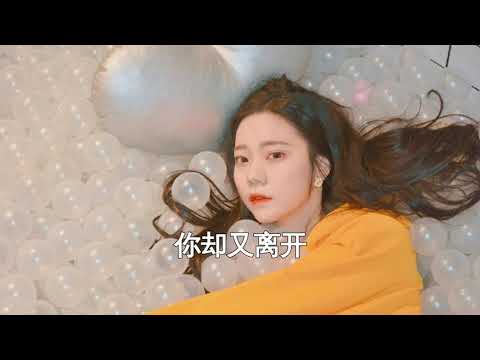 Ver 张紫宁 - 你好，再见 【动态歌词】 no YouTube