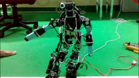 KMUTT Humanoid OmniDirectional Walking