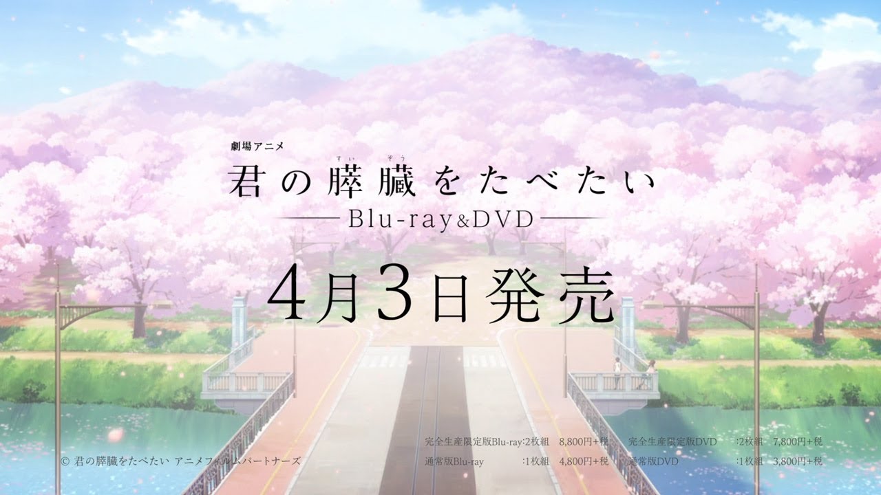 劇場アニメ 君の膵臓をたべたい Blu Ray Dvd発売決定pv Youtube