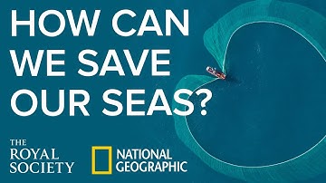 You and the Planet: how can we save our seas? | The Royal Society