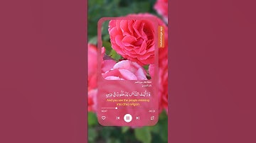 سورة النصر بصوت الشيخ ياسر الدوسري انشرها لوجه الله تعالى #اكسبلور